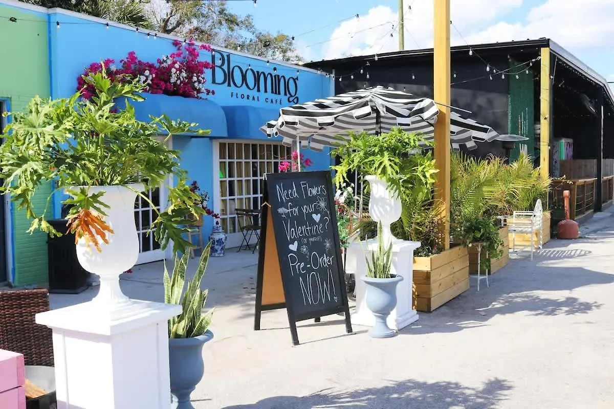Walkable, Outdoor Oasis, Bbq, Firepit And Bocce Ball Tampa Verenigde Staten